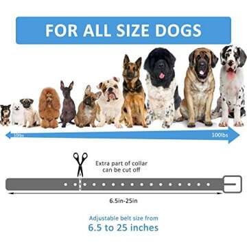 LuckinPET Replacement Collar Strap, Compatible with Petsafe,PATPET,Sportdog,Garmin,Dogtra,etc Most Training Collar/Fence Reciever, 3/4',Adjustable,Metal Buckled,Waterproof (Black Pack2)