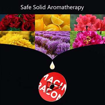 GISAVV Record Player Car Air Freshener Spin Phonograph Air Vent Outlet Aromatherapy Diffuser Perfume Clip Retro Car Accesories Interior (Style B)