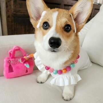 Haute Diggity Dog Barkin Bag Plush Dog Toy for Small Breeds