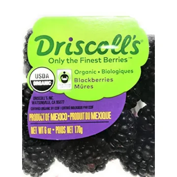 Buy Organic Blackberries Fresh and Delicious 6 oz Pack