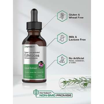 Horbäach Echinacea Drops 2 oz Alcohol Free Herbal Support