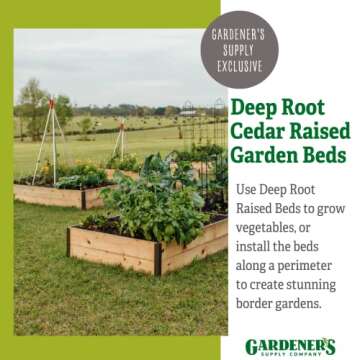 Gardener's Supply Company Elevated Raised Garden Bed | Durable Cedar Planter Box for Vegetables & He...