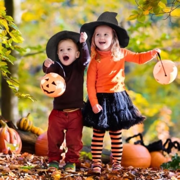 Leuceiy Halloween Witch Hat for Women Comfortable Wool Accessory