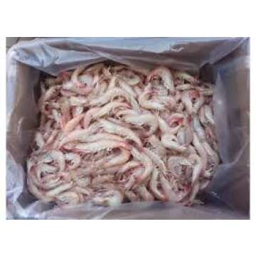 Key West Pink Shrimp Jumbo Wild Caught 16-20 ct Florida seafood 5-20lb (2lb)