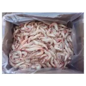 Key West Pink Shrimp Jumbo Wild Caught 16-20 ct Florida seafood 5-20lb (2lb)
