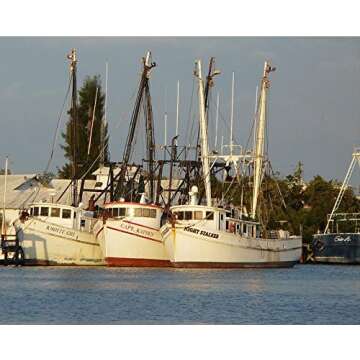 Key West Pink Shrimp Jumbo Wild Caught 16-20 ct Florida seafood 5-20lb (2lb)