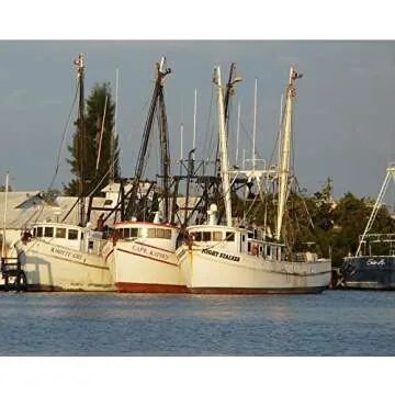 Key West Pink Shrimp Jumbo Wild Caught 16-20 ct Florida seafood 5-20lb (2lb)