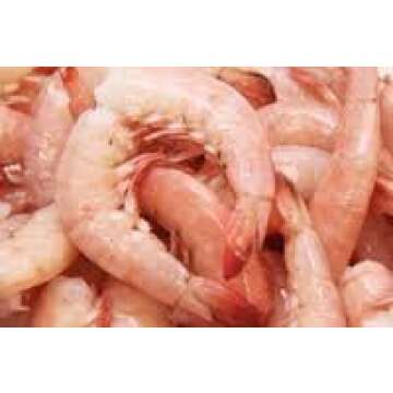 Key West Pink Shrimp Jumbo Wild Caught 16-20 ct Florida seafood 5-20lb (2lb)