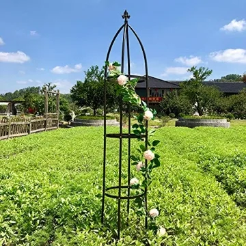 Durable Metal Garden Arch Trellis for Climbing Plants