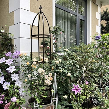 Durable Metal Garden Arch Trellis for Climbing Plants