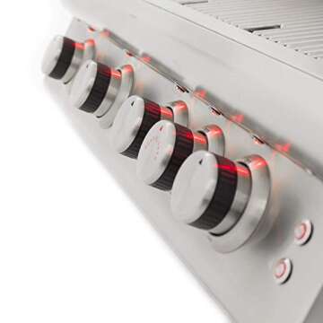 Blaze LTE 40-Inch 5-Burner Natural Gas Grill