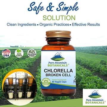 Chlorella Capsules - Organic, Vegan Health Supplement