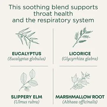 Traditional Medicinals Tea, Organic Throat Coat Eucalyptus, Throat and Respiratory Support, 16 Tea B...