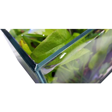 Lifegard 17 Gallon Low Iron Rimless Aquarium Delight