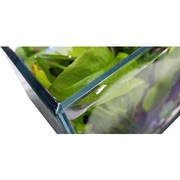 Lifegard 17 Gallon Low Iron Rimless Aquarium Delight