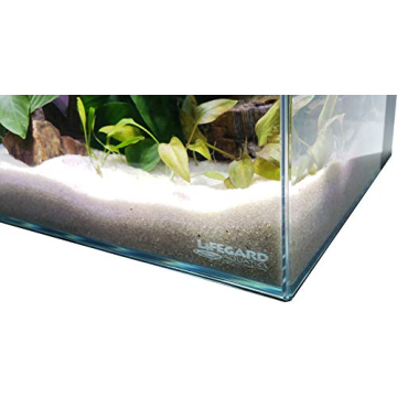 Lifegard 17 Gallon Low Iron Rimless Aquarium Delight