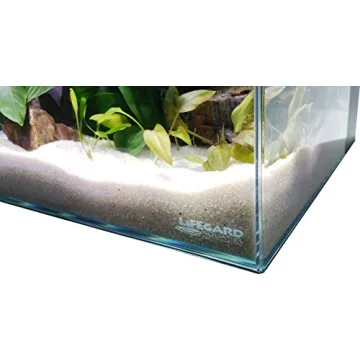 Lifegard 17 Gallon Low Iron Rimless Aquarium Delight