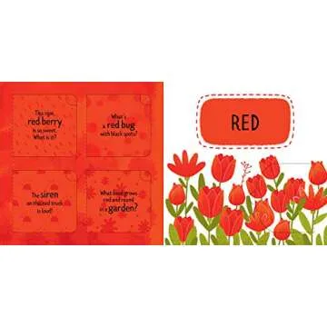 Learn Colors: A Lift-the-Flap Book (Clever Playground)