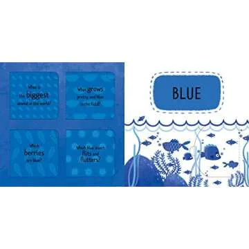 Learn Colors: A Lift-the-Flap Book (Clever Playground)