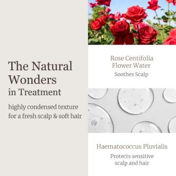 Dr. Bio Wrap-Up Treatment (25.36oz/750ml)| Damaged Hair Repair Treatment, Moisturizing Protein Conditioner for Volume with Probiotics & Amino Acid, Sensitive Scalp Relief, Korean Hair Care, Vegan