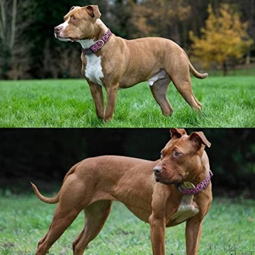 DWOOFG Pretty Dog Collar for Large Dogs in Pink Design