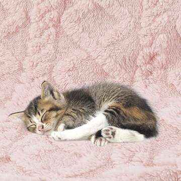 Aganear Baby Blanket - Cozy Plush Blanket for Babies