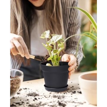 HomeNote 15 Pack 6" Plant Pots with Drainage for All Plants