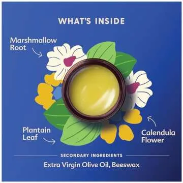 Motherlove Green Salve (1 oz) Family-Friendly Outdoor Adventure Ointment to Soothe Skin - USDA Organic