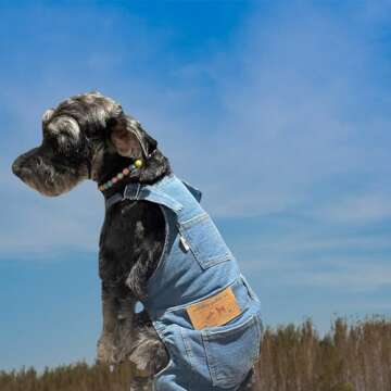 MuYaoPet Dog Denim Jumpsuit Costumes Cat Pet Jean Overalls Clothes For Yorkie Bulldog (M, Blue)