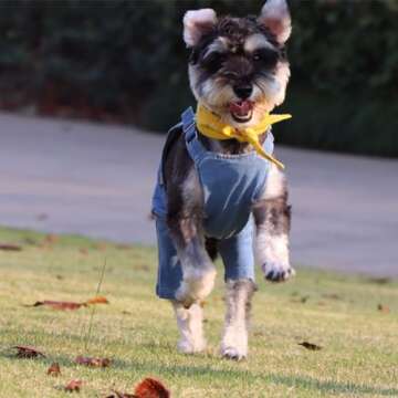 MuYaoPet Dog Denim Jumpsuit Costumes Cat Pet Jean Overalls Clothes For Yorkie Bulldog (M, Blue)