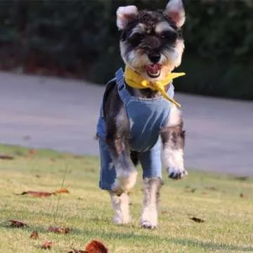 MuYaoPet Dog Denim Jumpsuit Costumes Cat Pet Jean Overalls Clothes For Yorkie Bulldog (M, Blue)