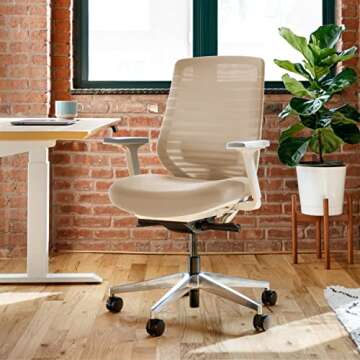 Branch Ergonomic Chair - A Versatile Desk Chair with Adjustable Support and Breathable Mesh Back
