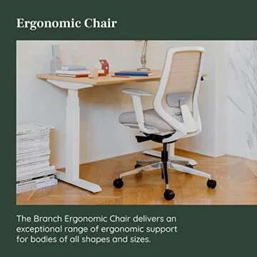 Branch Ergonomic Office Chair for Comfort and Support