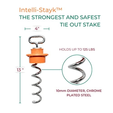 IntelliLeash Intelli-Stayk Stake with Surface-Lock Technology