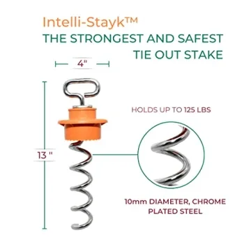 IntelliLeash Intelli-Stayk Stake with Surface-Lock Technology