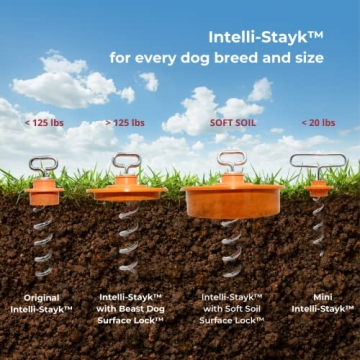 IntelliLeash Intelli-Stayk Stake with Surface-Lock Technology