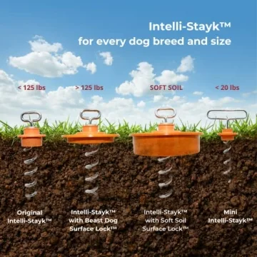 IntelliLeash Intelli-Stayk Stake with Surface-Lock Technology
