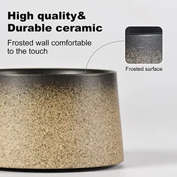 Focraemug 7.4 Oz Coffee and Tea Cup Set - Elegant & Functional Gift