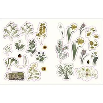 The Forests, Fairies and Fungi Sticker Anthology: With More Than 1,000 Vintage Stickers (DK Sticker Anthology)