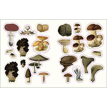 The Forests, Fairies and Fungi Sticker Anthology: With More Than 1,000 Vintage Stickers (DK Sticker Anthology)