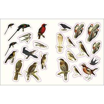 The Forests, Fairies and Fungi Sticker Anthology: With More Than 1,000 Vintage Stickers (DK Sticker Anthology)