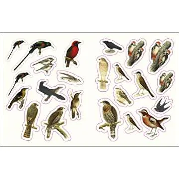 The Forests, Fairies and Fungi Sticker Anthology: With More Than 1,000 Vintage Stickers (DK Sticker Anthology)