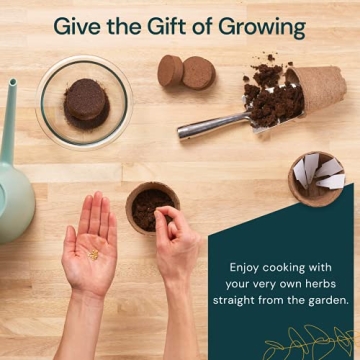 Nature's Blossom Herb Garden Kit for Indoor Growing