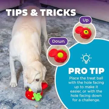 Outward Hound Fruity Findz Interactive Dog Treat Toy