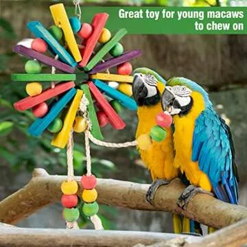 MEWTOGO Colorful Chewing and Foraging Bird Toys