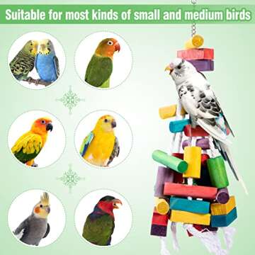 MEWTOGO Colorful Chewing and Foraging Bird Toys