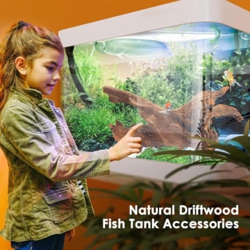 Jorewood Natural Driftwood for Aquarium and Reptile Decor