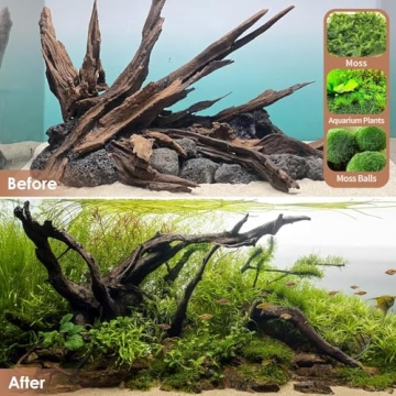 Jorewood Natural Driftwood for Aquarium and Reptile Decor