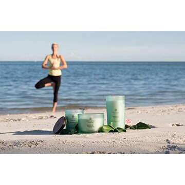 Chesapeake Bay Balance + Harmony Scented Candles, Water Lily Pear Fragrance, Medium Size, Natural Soy Wax, 50 Hours Burn Time, Pack of 2