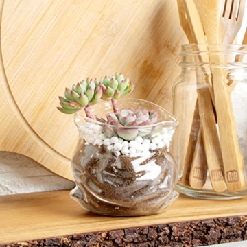 Charming 8 Ounce Glass Candy Bowl for Unique Decor